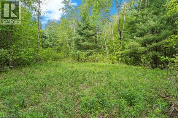 372 HIGHWAY 24, Brantford, ON N3T5L5