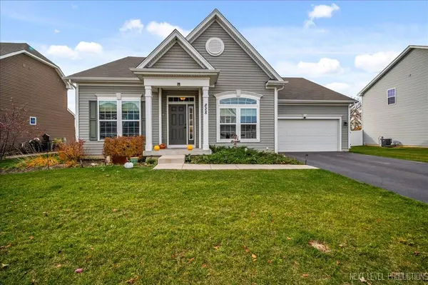 828 Mario LN, Gilberts, IL 60136