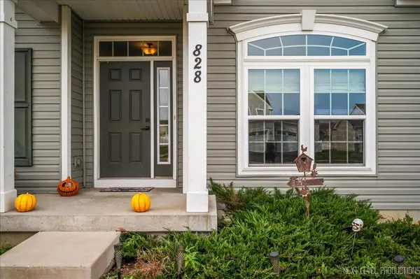 828 Mario LN, Gilberts, IL 60136