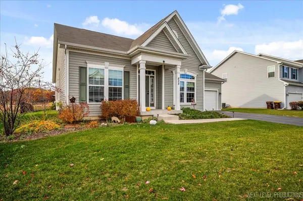 828 Mario LN, Gilberts, IL 60136