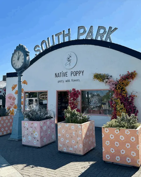 Why People Fall in Love With South Park, San Diego,Matthew Thornberg
