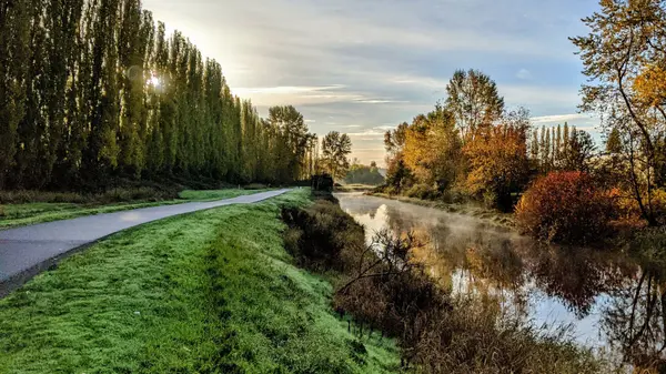 Sammamish Real Estate in 2026: A Clear Guide for Buyers and Renters,Reis McCullough