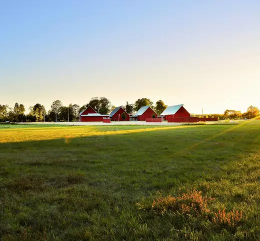 pexels-grizzlybear-1198507