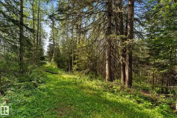 SW 14-46-3-W5M HWY 13, Rural Wetaskiwin County, AB T0C 2T0