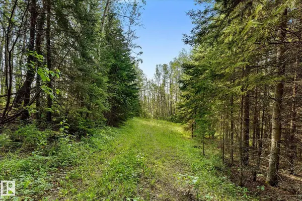 SW 14-46-3-W5M HWY 13, Rural Wetaskiwin County, AB T0C 2T0