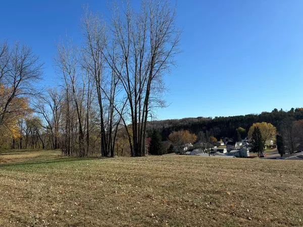 509 3rd ST, Cady Twp, WI 54013