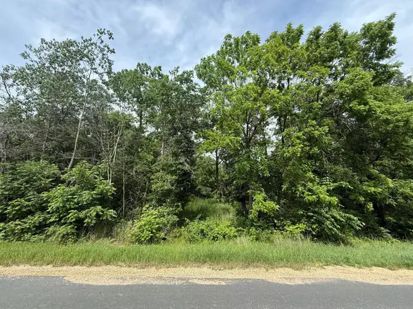 xxx 100th Street, Warren Twp, WI 54023