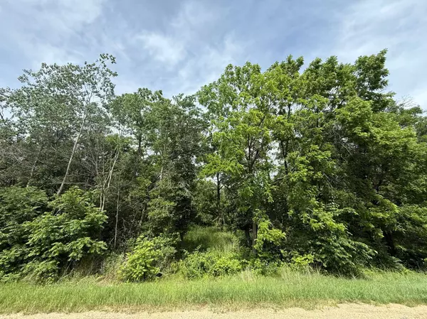 xxx 100th Street, Warren Twp, WI 54023