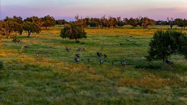 Lot 71 Fallow Dr, Harper, TX 78631