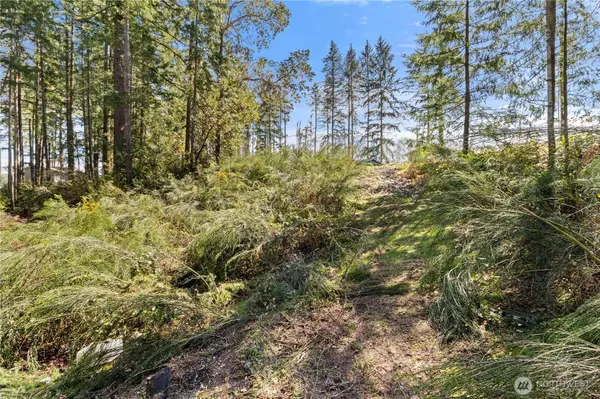 19025 SW 23rd St, Lakebay, WA 98349