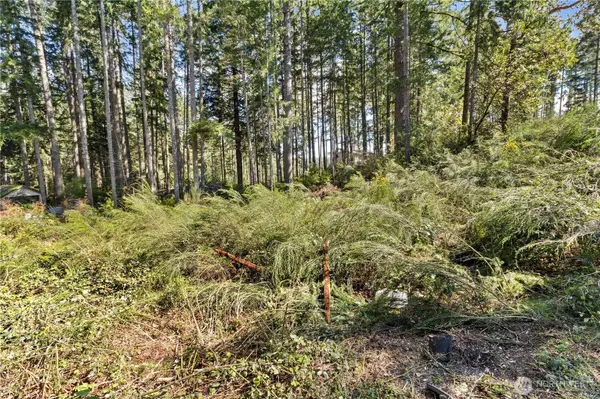 19025 SW 23rd St, Lakebay, WA 98349