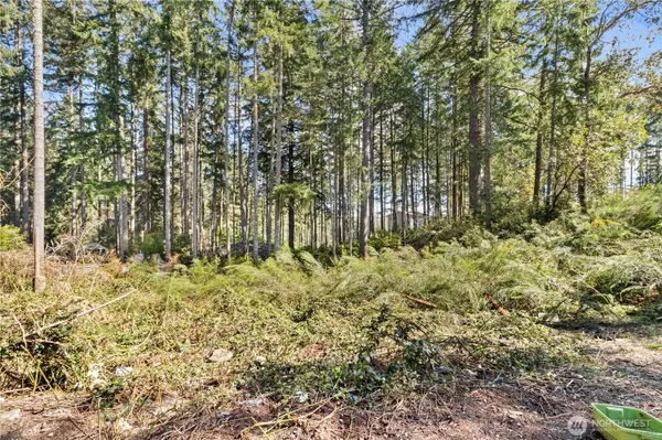 19025 SW 23rd St, Lakebay, WA 98349