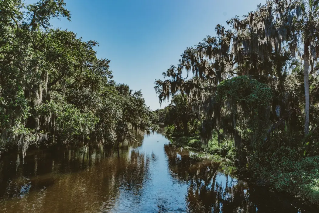 Parrish FL homes for sale