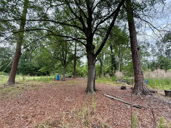 2058 Chaserville Road, Nashville, GA 31639