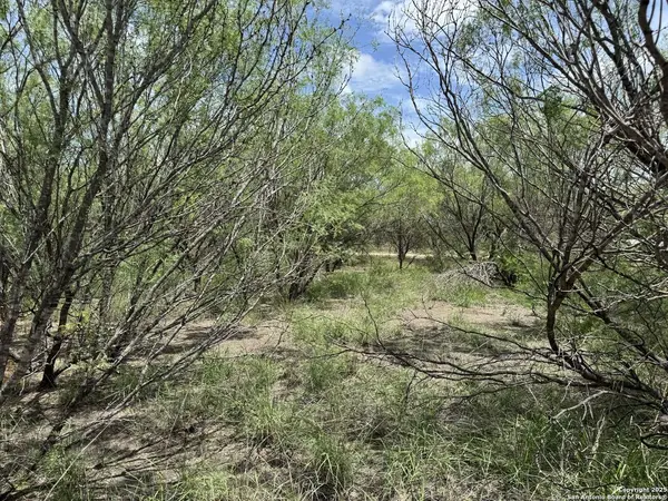 TBD E Langan Rd, Crystal City, TX 78839