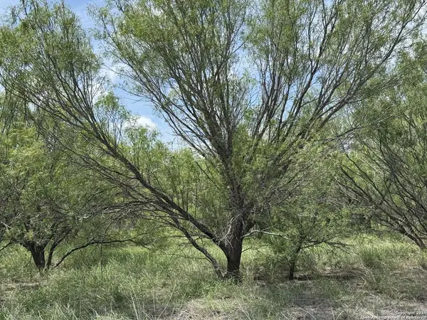 TBD E Langan Rd, Crystal City, TX 78839