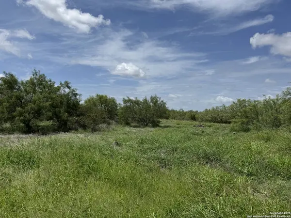TBD E Langan Rd, Crystal City, TX 78839