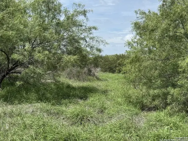 TBD E Langan Rd, Crystal City, TX 78839