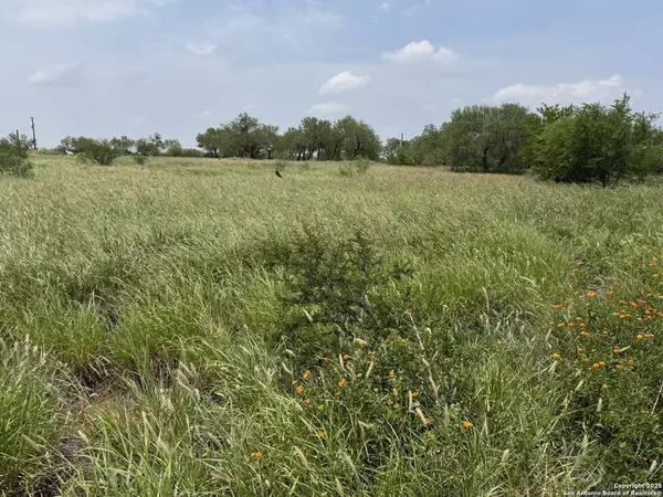 2266 interstate 35, Cotulla, TX 78014
