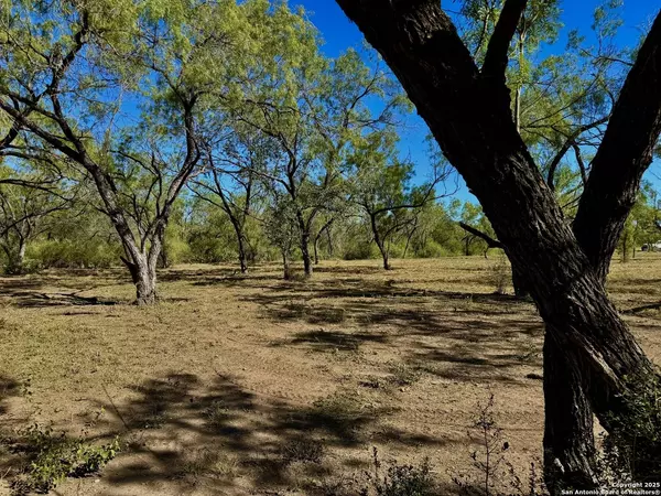 635 Beavers Ln, Uvalde, TX 78801