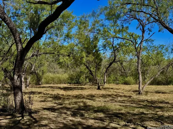 635 Beavers Ln, Uvalde, TX 78801