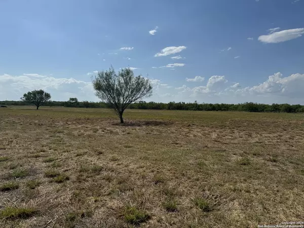 4303 US Highway 83, Crystal City, TX 78839