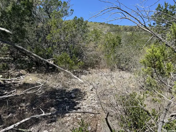 2325 Private Road 2700, Uvalde, TX 78801