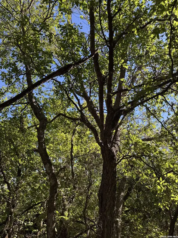 220 PRIVATE ROAD 2355, Uvalde, TX 78801