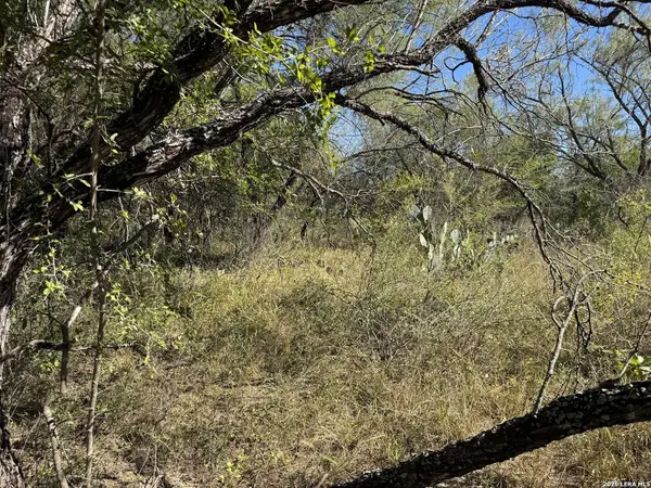 220 PRIVATE ROAD 2355, Uvalde, TX 78801