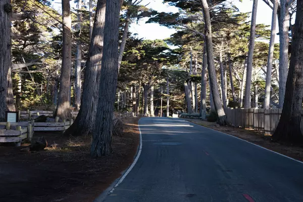 The Preliminary Title Report: What Actually Matters (and What Rarely Does)