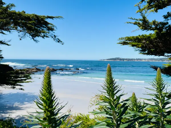 Beaches and Trails in Carmel: Living With the Landscape,The Ruiz Group