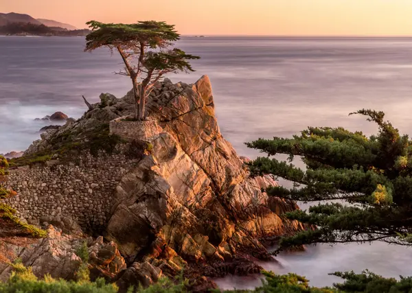 What Triggers Reassessment in California (And What Surprisingly Does Not),The Ruiz Group