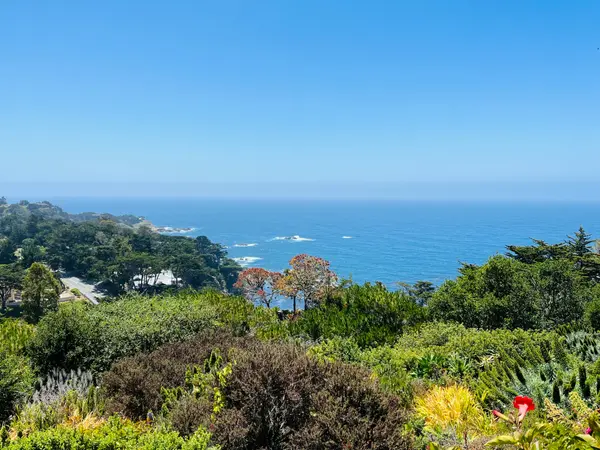 Are Ocean Views Always Protected? What Monterey Peninsula Buyers Should Know,The Ruiz Group