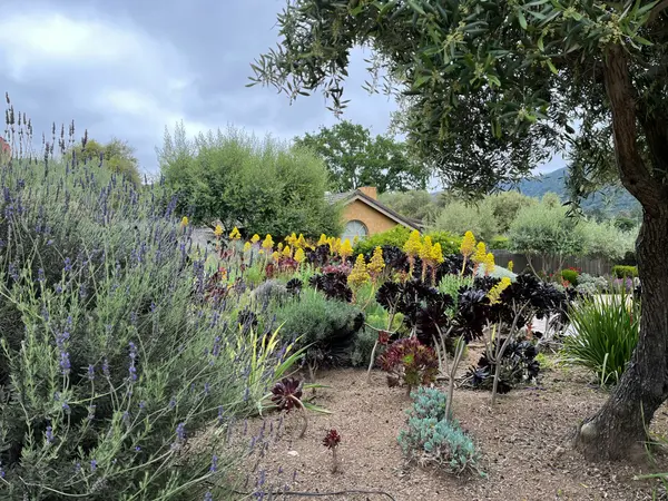 Homes Without Sewers: All About Septic Systems,The Ruiz Group