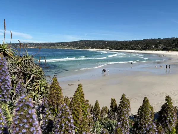 When You Want to Move and Your Partner Doesn't