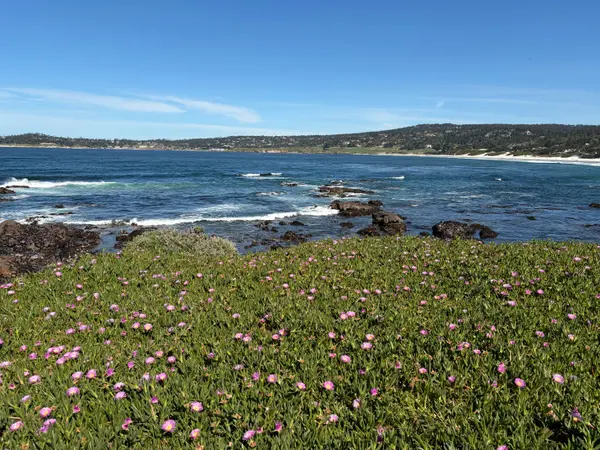 How to Help Aging Parents Navigate a Home Sale on the Monterey Peninsula