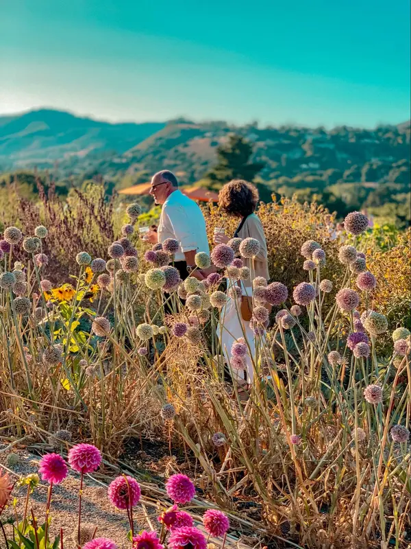 The Medical Landscape of the Monterey Peninsula: What Buyers Should Know