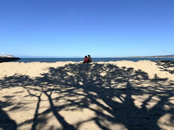 What Happens to a Monterey Peninsula Home When Both Owners Pass