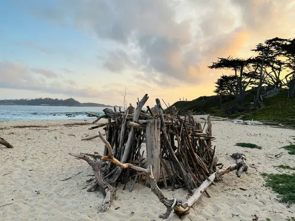 What Monterey Peninsula Tenants Want (and What Owners Get Wrong)