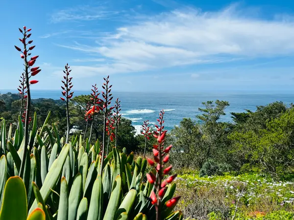 What the Coastal Commission Reviews (and What Triggers It)
