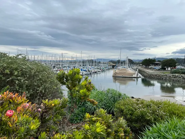 The Monterey Peninsula in Summer,The Ruiz Group