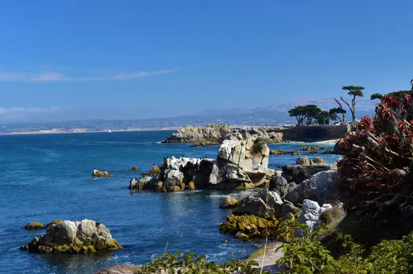 The Best Neighborhoods in Pacific Grove