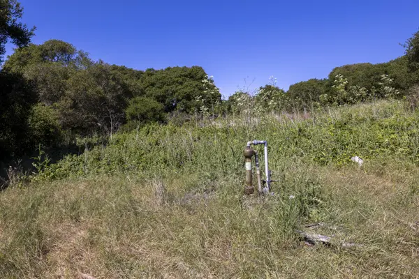 Del Monte Farms Road, Castroville, USA