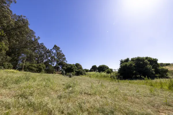 Del Monte Farms Road, Castroville, USA