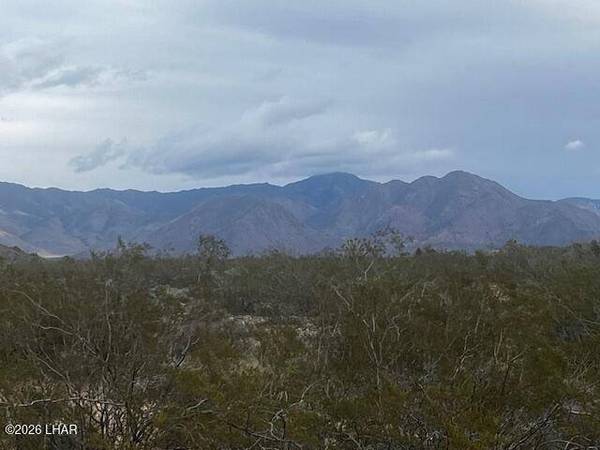 3639 W Yellow Bird Dr, Yucca, AZ 86438