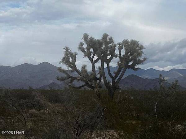 3639 W Yellow Bird Dr, Yucca, AZ 86438