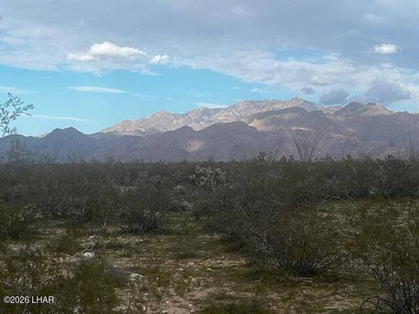 3639 W Yellow Bird Dr, Yucca, AZ 86438