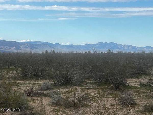 3639 W Yellow Bird Dr, Yucca, AZ 86438