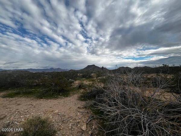 3639 W Yellow Bird Dr, Yucca, AZ 86438