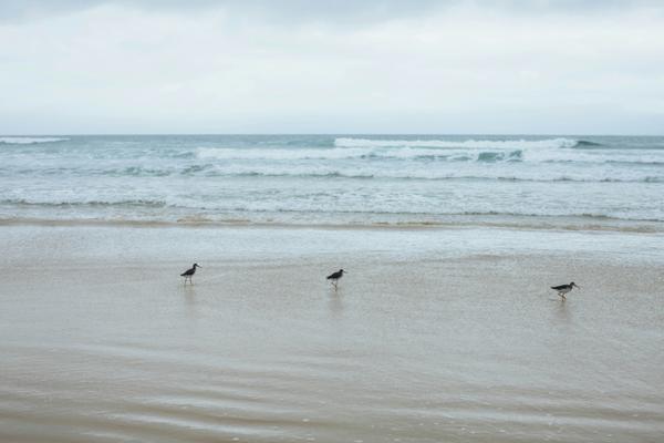 What Does Coastal Living in Delaware Really Look Like?